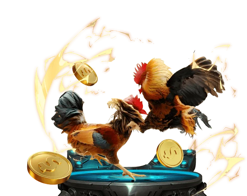 Quy trình tham gia chương trình VIP qq88